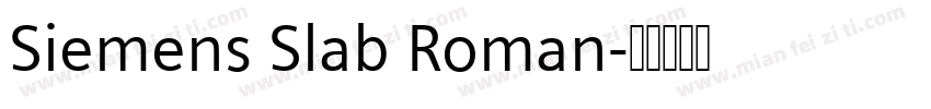 Siemens Slab Roman字体转换